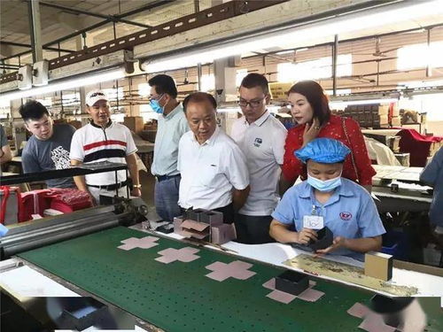 肇慶市僑聯(lián)深入僑青企業(yè)走訪調(diào)研